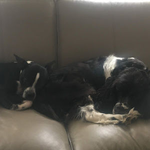 Meet your Posher, Stickers